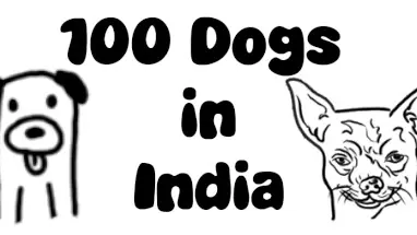 100 Dogs in India cover