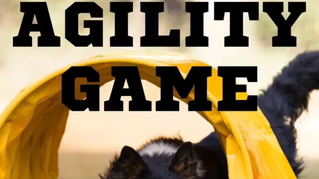 Agility Game cover
