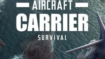 Aircraft Carrier Survival cover