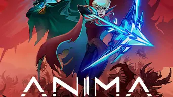 Anima Flux cover