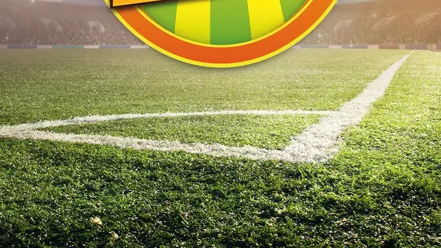 Arena Renovation cover
