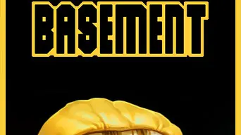 Basement cover