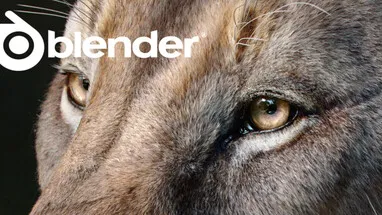 Blender cover