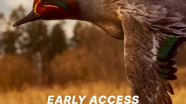 Bult: Hunting Simulator cover