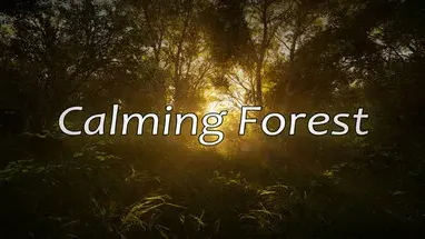 Calming Forest cover