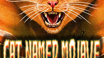 Cat Named Mojave cover