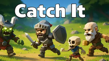 Catch it cover