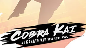 Cobra Kai: The Karate Kid Saga Continues cover