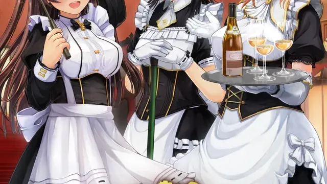 CUSTOM ORDER MAID 3D2 It's a Night Magic Epic LIMITED EDITION cover