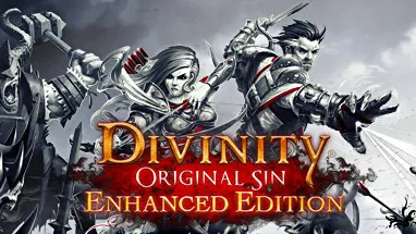 Divinity: Original Sin - Enhanced Edition cover