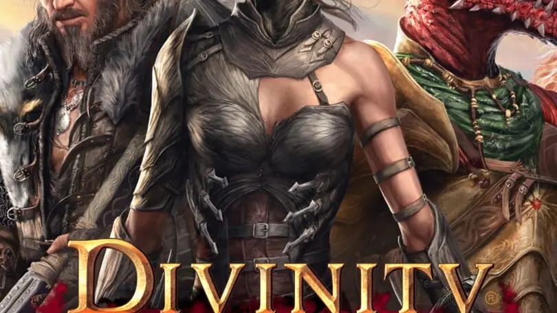 Divinity: Original Sin II cover