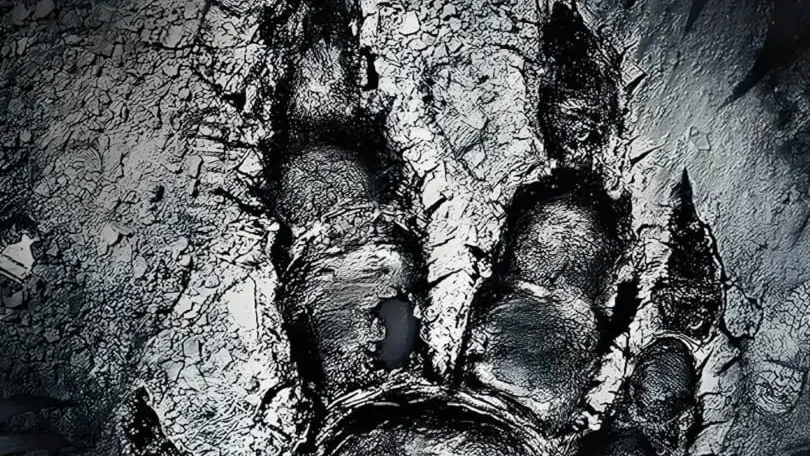 Evolve cover