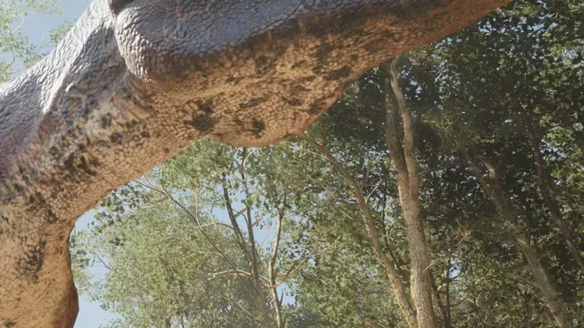Extinct Forest cover
