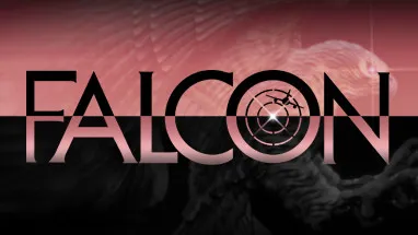 Falcon cover