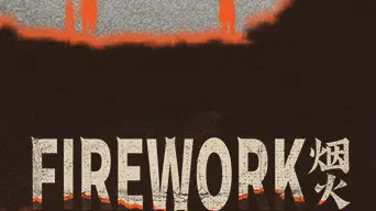Firework cover