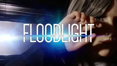 Floodlight cover