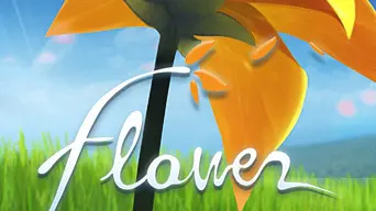 Flower cover