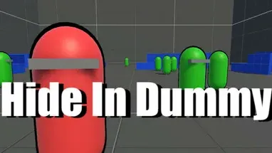 Hide In Dummy cover