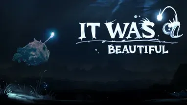 It was beautiful cover