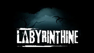 Labyrinthine cover