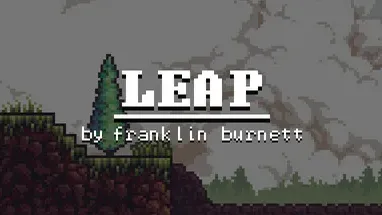 Leap by Franklin Burnett cover