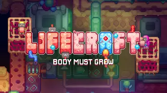 Lifecraft cover