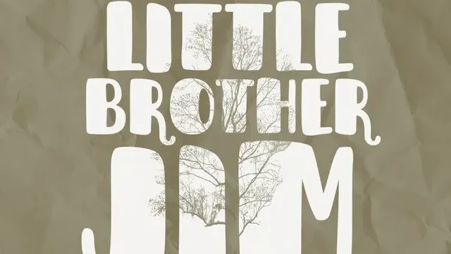 Little Brother Jim cover