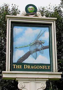 Dragonfly logo