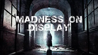 Madness on Display cover