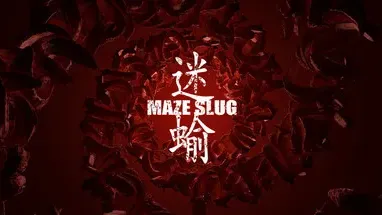 MazeSlug cover