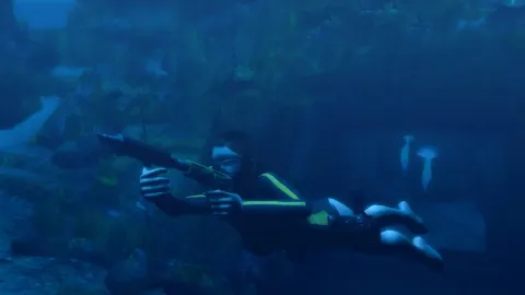 Tomb Raider: Underworld screenshot