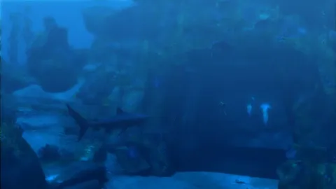 Tomb Raider: Underworld screenshot