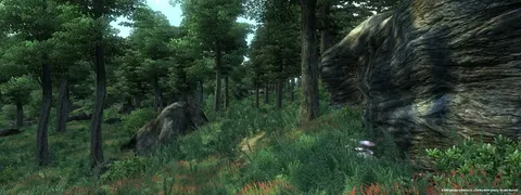 The Elder Scrolls IV: Oblivion® Game of the Year Edition (2009) screenshot