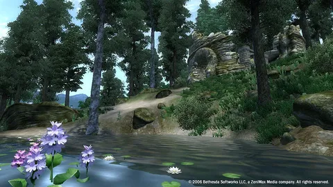 The Elder Scrolls IV: Oblivion® Game of the Year Edition (2009) screenshot