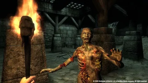 The Elder Scrolls IV: Oblivion® Game of the Year Edition (2009) screenshot