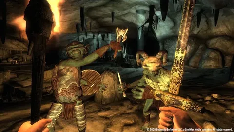 The Elder Scrolls IV: Oblivion® Game of the Year Edition (2009) screenshot