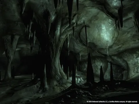 The Elder Scrolls IV: Oblivion® Game of the Year Edition (2009) screenshot