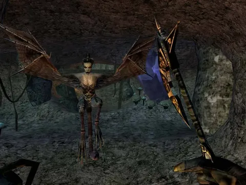 The Elder Scrolls III: Morrowind® Game of the Year Edition screenshot