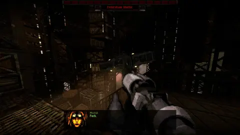 Fortune's Run screenshot