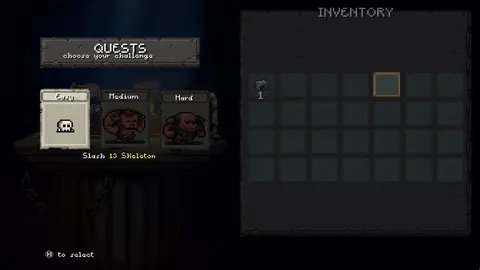 Sir Questionnaire screenshot