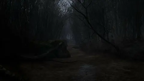 Horror Story: Hallowseed screenshot