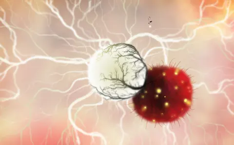 Botanicula screenshot