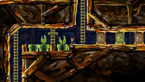Braid screenshot