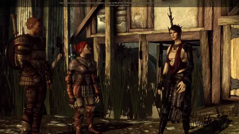 Dragon Age™: Origins - Ultimate Edition screenshot