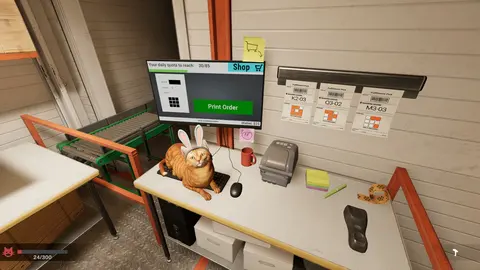 ORDER 13 screenshot