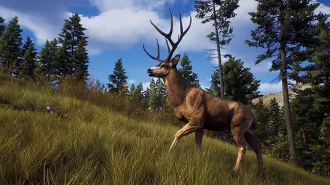 Way of the Hunter screenshot