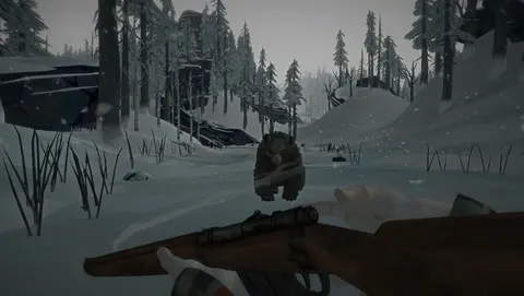 The Long Dark: Survival Mode screenshot