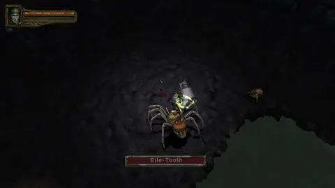 Baldur's Gate: Dark Alliance II screenshot