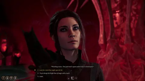 Baldur's Gate 3 screenshot