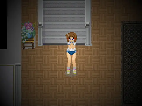 Alternate DiMansion Diary screenshot